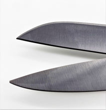 ROBUSO 1041/S/10" PROTON beschichtet Linkshandschere Zuschneideschere Gewebeschere Faserschere Stoffschere Textilschere Allzweckschere Vielzweckschere Solingen